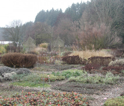 Mutterpflanzengarten im Spätherbst