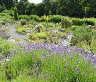 Mediterraner Blick in den Garten