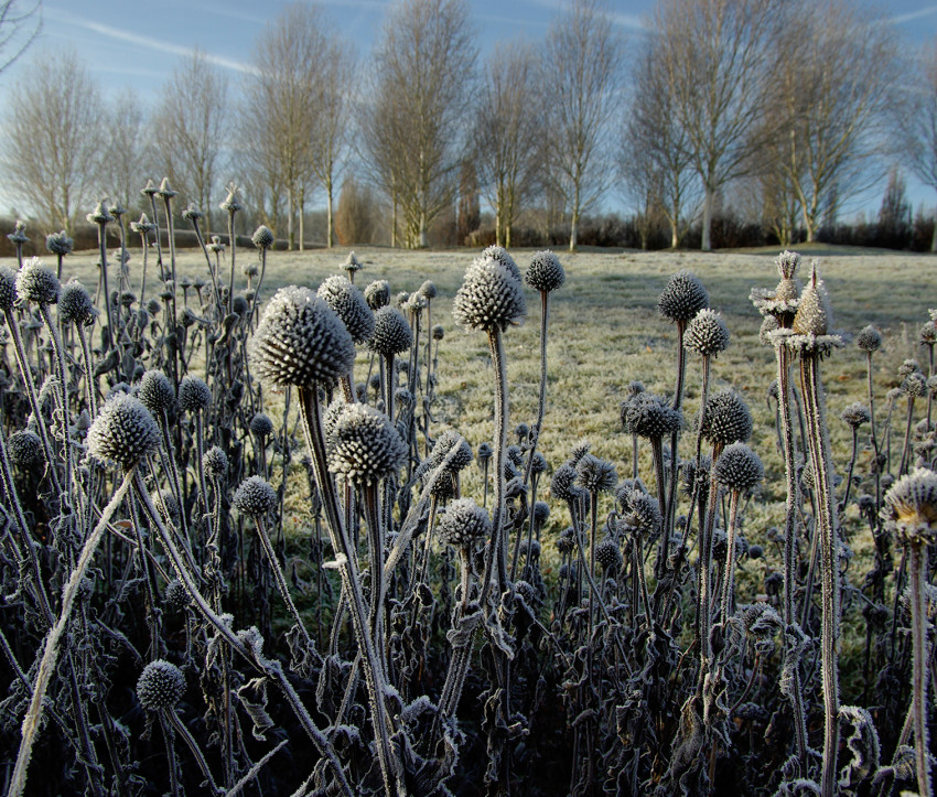 Winteraspekt